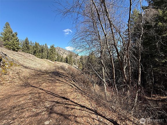 2nd image of 0 Coogan Creek Road