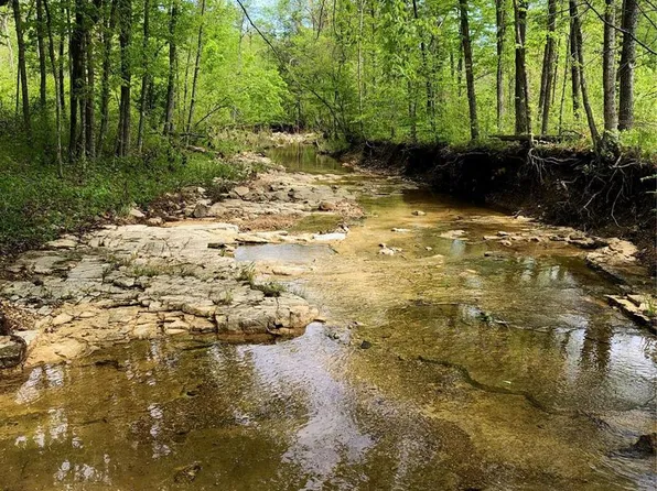 3 Bucks Crossing Ln, Richwoods, MO 63071