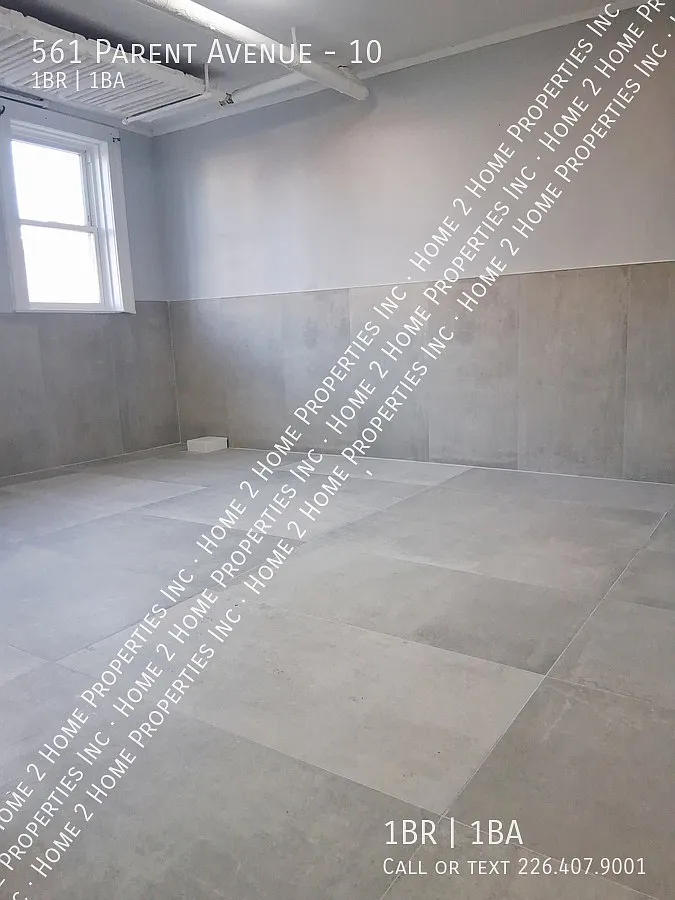 561 Parent — Photo 3