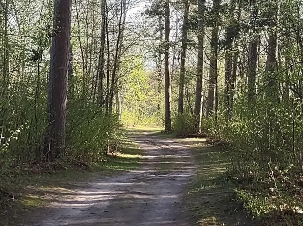 1343 Indian Point Trl NW, Pine River, MN 56474