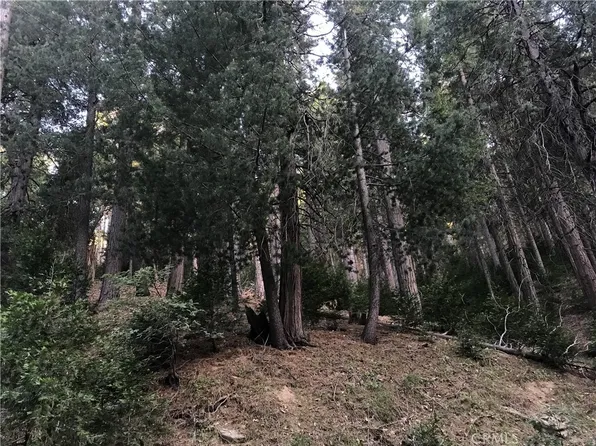 0 Mojave River Rd Lot 28, Cedarpines Park, CA 92322