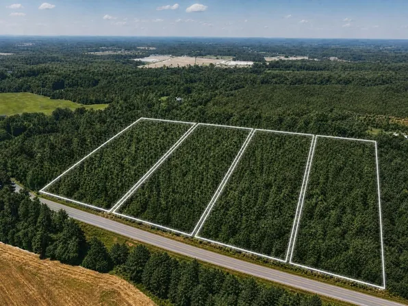 0 Johnson Pond Rd Lot 1, Red Springs, NC 28377