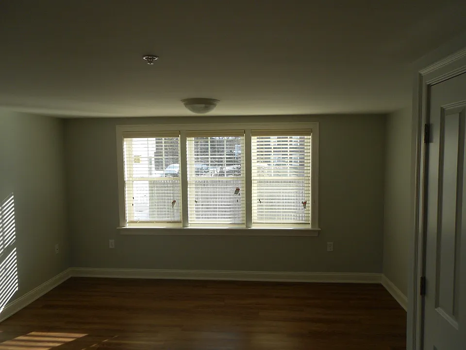 Living room, with focus on window