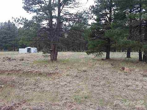 2nd image of 522 N Skylane Rd