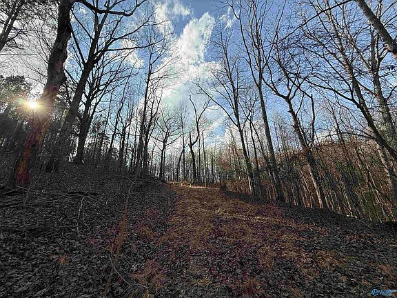 5th image of 2113 Buster Willett Rd