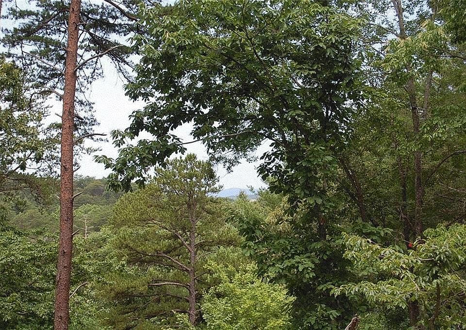 1st image of 384 Back Pine Way #7
