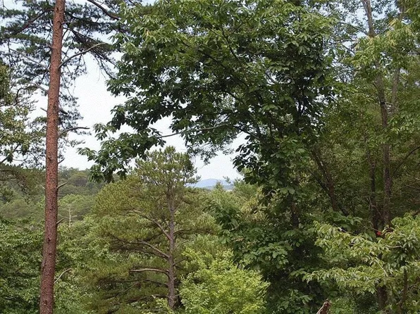 384 Back Pine Way #7, Ellijay, GA 30536