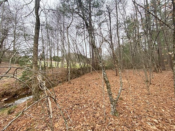 3rd image of 21 Broadleaf Ln