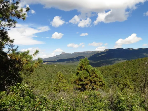 36435 Alpine Meadows Dr, Trinidad, CO 81082