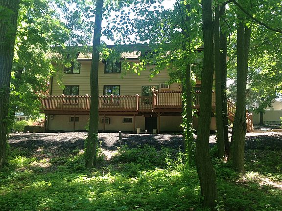 view from woods