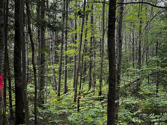 3rd image of 0 Pine Lake Rd Lot 1