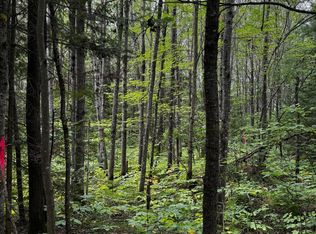 Pinelake Pine Lake Rd #2, Minocqua, WI 54548