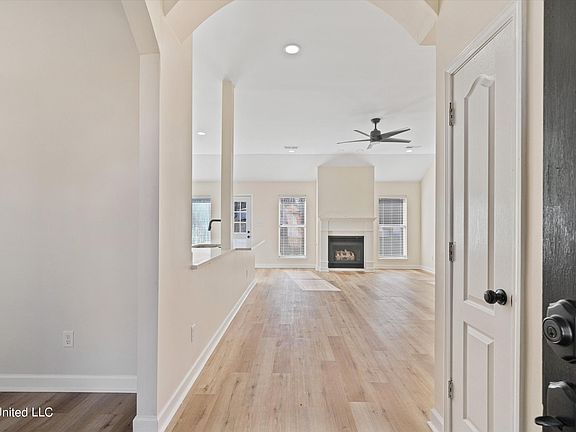 2nd image of 925 Scotch Pine Cv