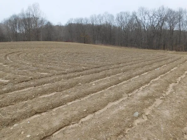 Cox Rd, Bellevue, MI 49021