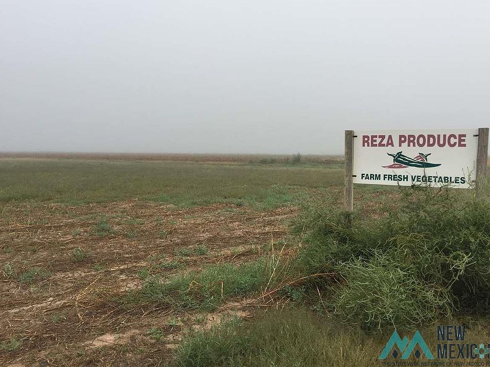 1st image of Pheasant Rd