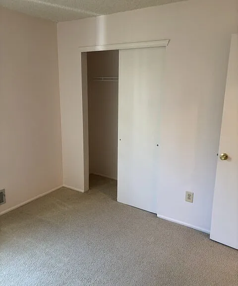 133 Tulip Ln — Photo 12