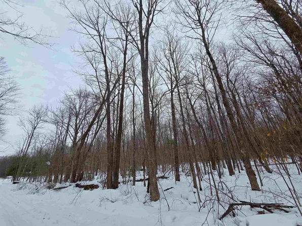 12 Olson Rd, Hayward, WI 54843