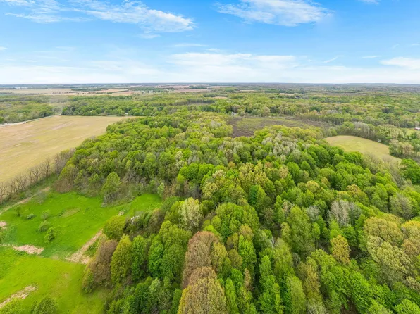 18731 Williamsville St, Cassopolis, MI 49031