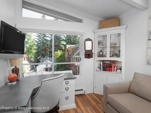 710 W Hopkins Ave #15, Aspen, CO 81611