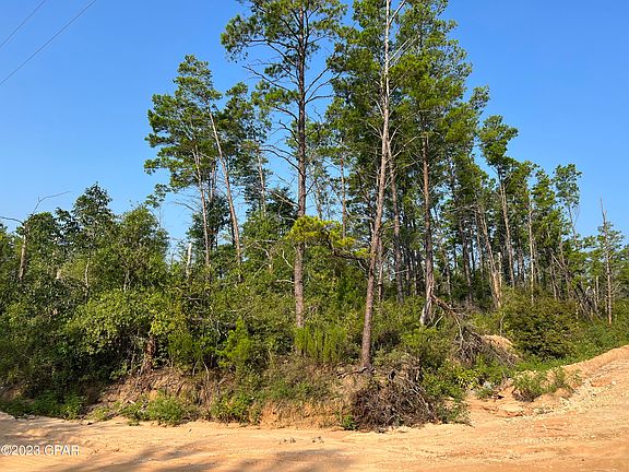 4th image of 0 Woodymarion Dr