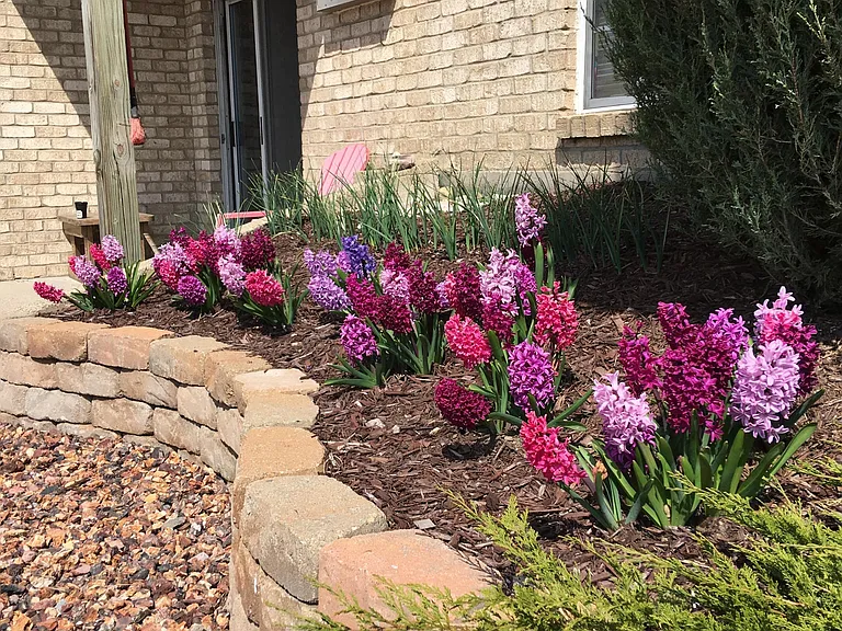 Spring!