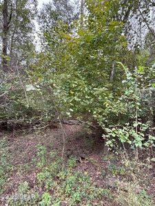 Hillcrest St, Marianna, FL, 32448