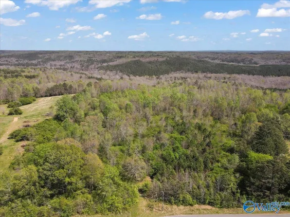 County Road 998, Cullman, AL 35057