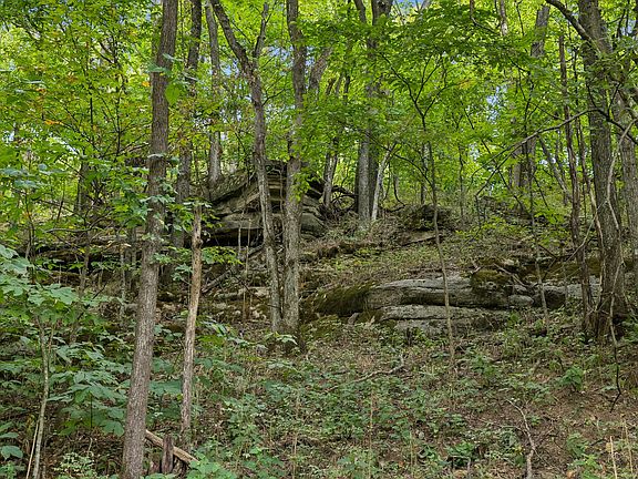 5th image of 2100 Hawkins Branch Rd