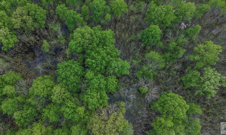 1st image of 0 Fm 195 Rd