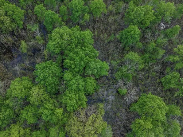 0 Fm 195 Rd, Bagwell, TX 75412