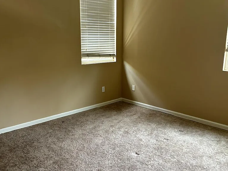3902 Hidden Grove Ln — Photo 20