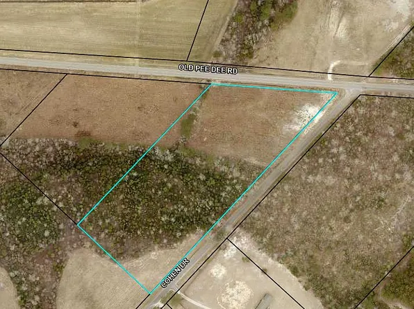 0 Old Pee Dee Rd, Hemingway, SC 29554