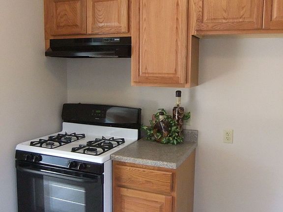 New Range/Range Hood & New Cabinets