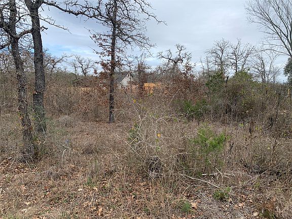 4th image of Chickasaw