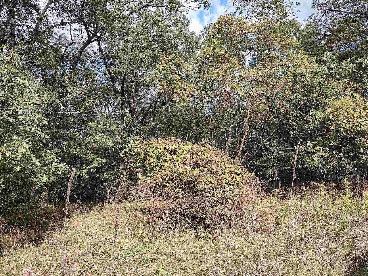 L96 Golf Ridge Circle #96