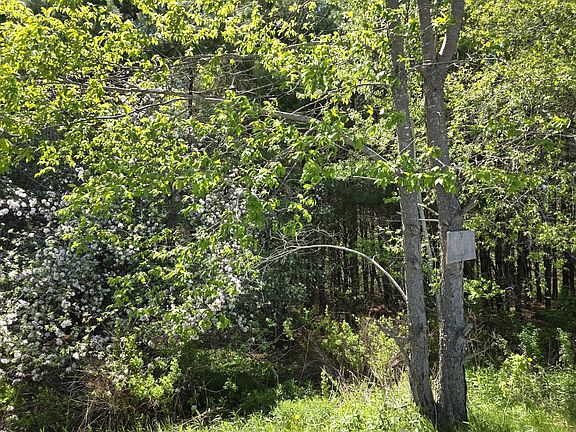 5th image of 3 Goose River Estates