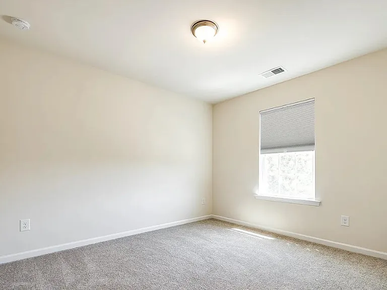 432 Triple Branch Trl — Photo 13