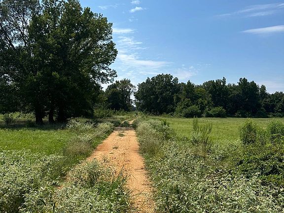 5th image of 1 Mum Rd