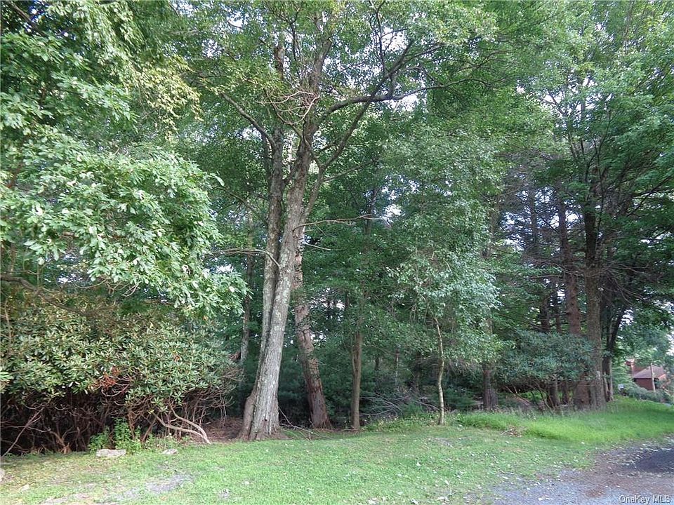 2nd image of Overlook Rd