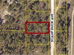 0 Scaup Duck Ave LOT 8, Brooksville, FL 34614