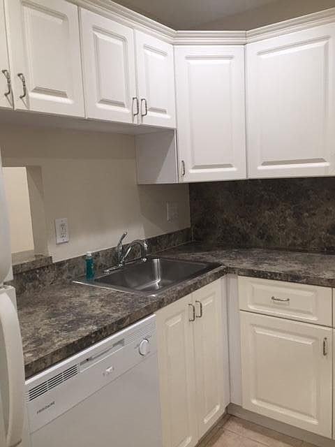 Kitchen Dishwasher