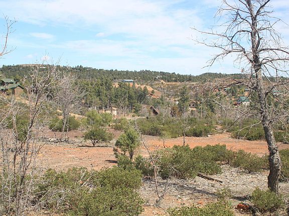 4th image of 6250 Bull Elk Run