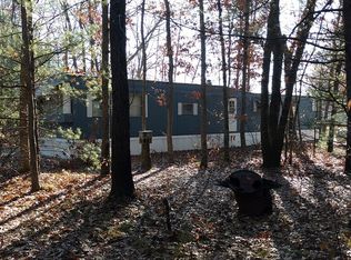 905 S Pine Ave, White Cloud, MI 49349