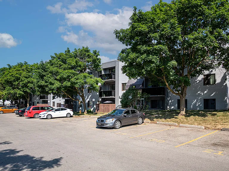 19 Dalegrove Dr — Photo 10