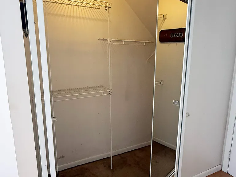 Back bedroom, closet