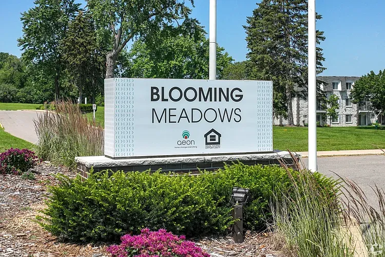 Blooming Meadows South — Photo 25