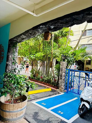 Waikiki Whale Watcher Apartments Photo 1