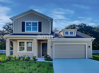 3414 Bridge Haven Dr, Wesley Chapel, FL 33543