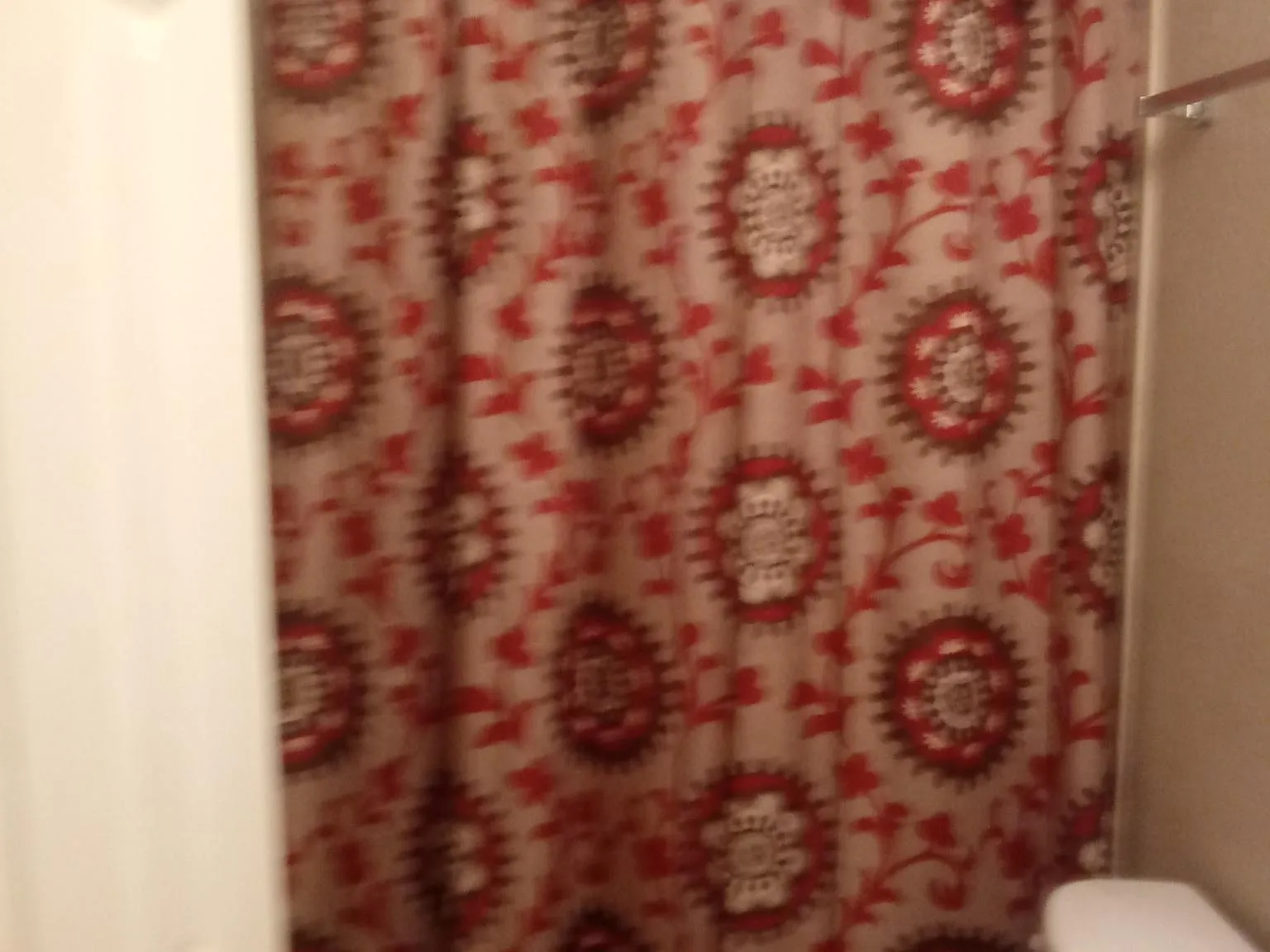 3 bed, 1080 sqft, $450 — Photo 2