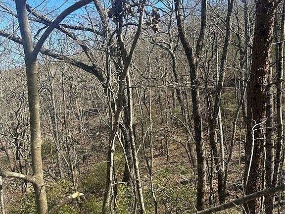 5th image of 0 Mulberry Ln